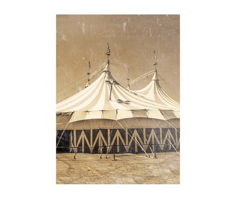 Hartford Circus Fire Victims