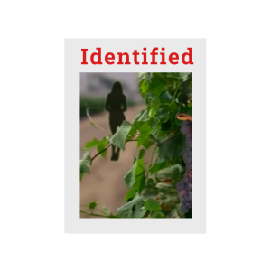 Kern Co Jane Doe 2011