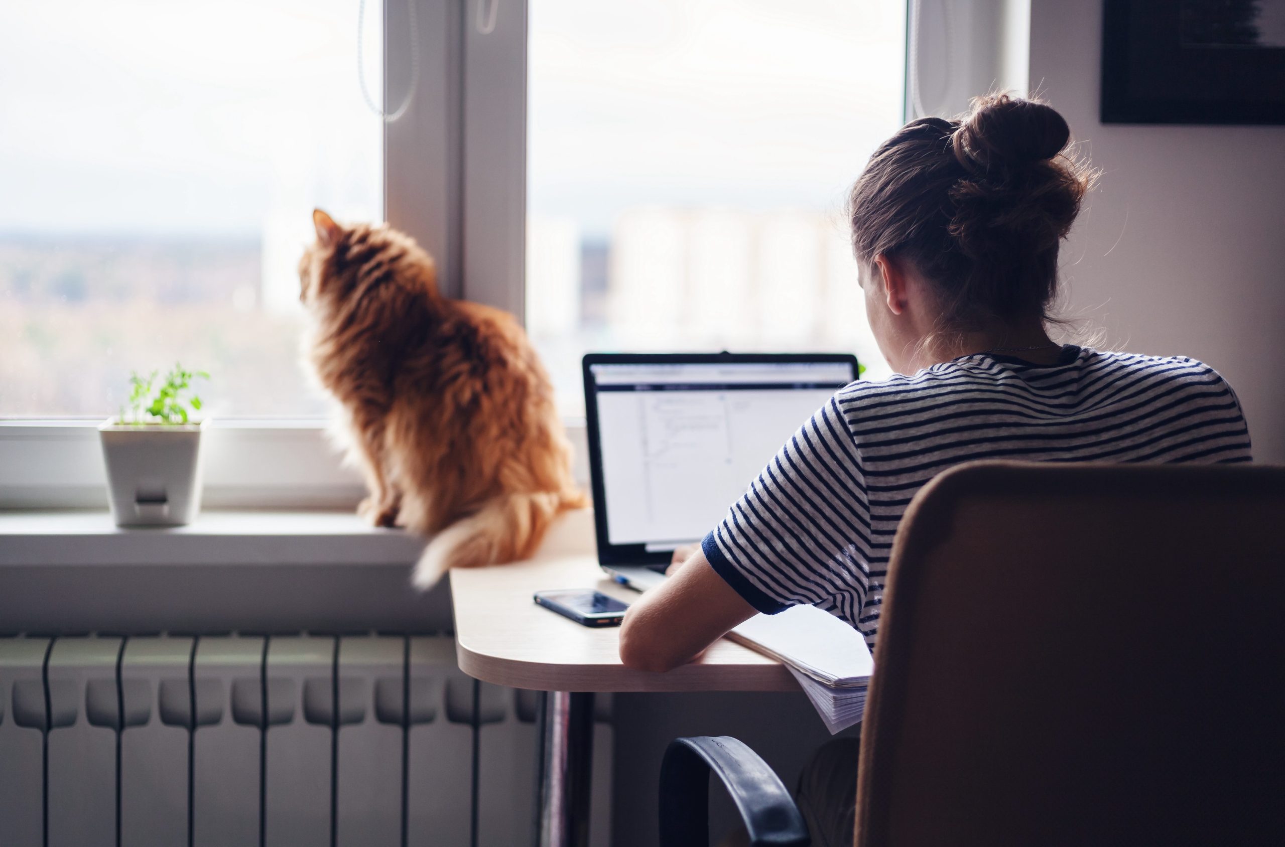 Girl,Student,Freelancer,Working,At,Home,On,A,Task,,The