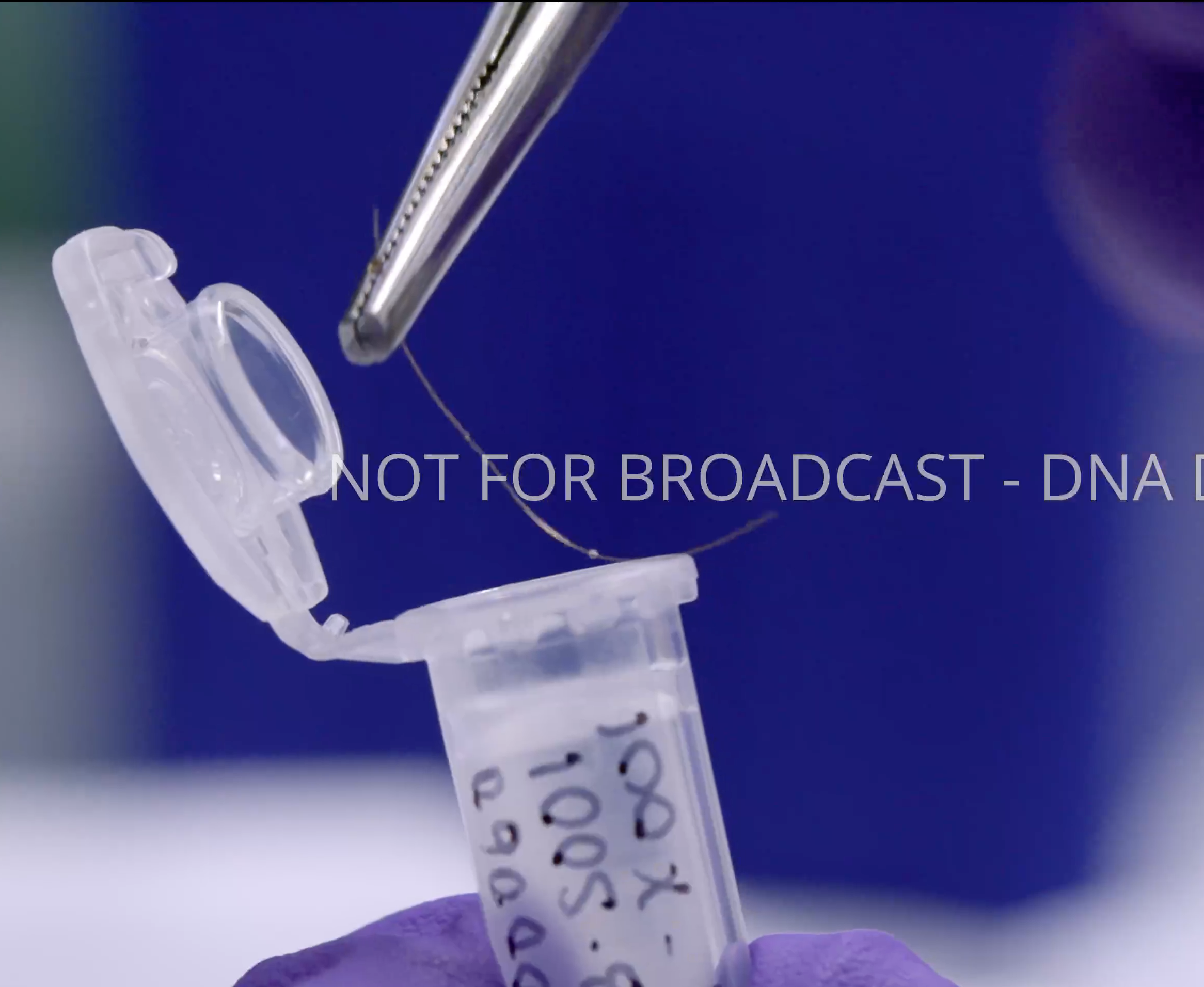 a scientist places a hair into a sample tube
