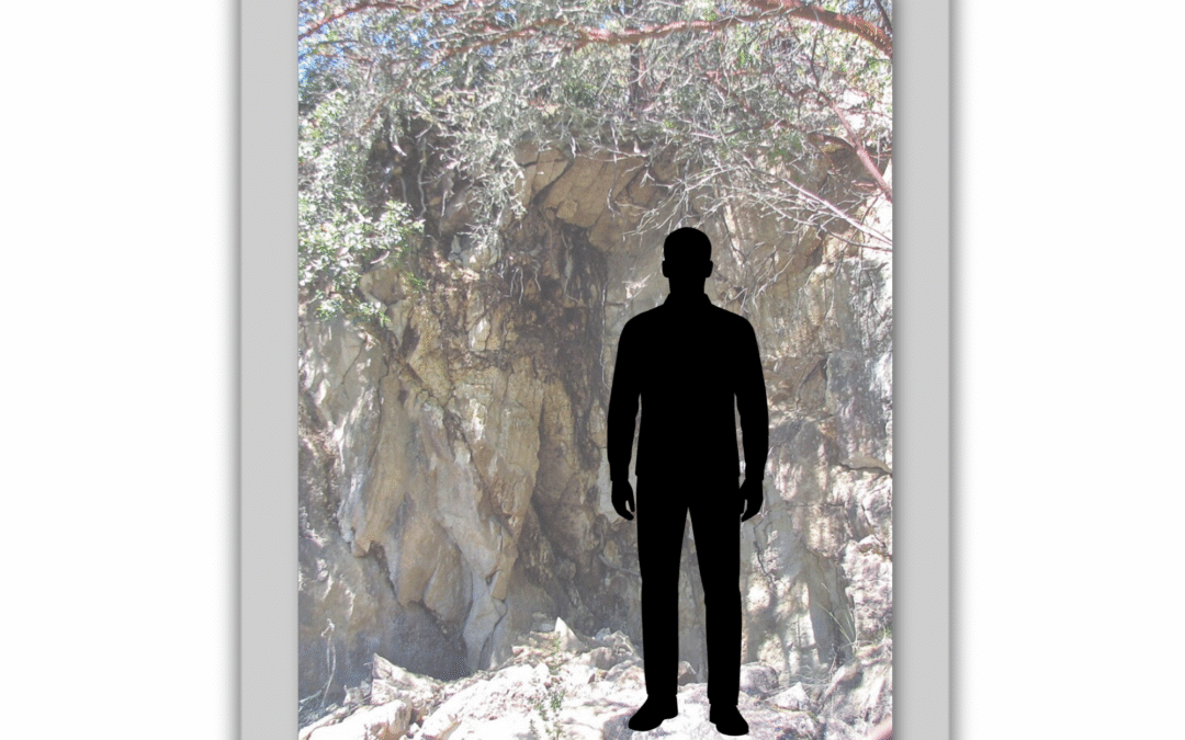 Petrified Forest John Doe 1995