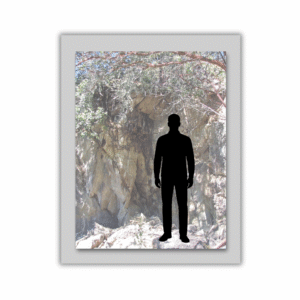 Petrified Forest John Doe 1995