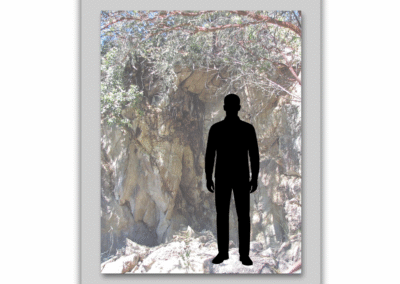 Petrified Forest John Doe 1995